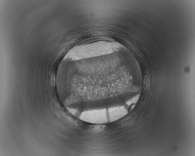 X0000114420474200911131455