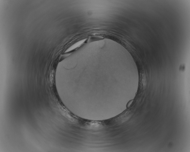 X0000114420475200911131455