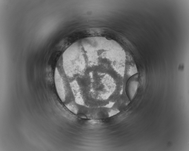 X0000114420477200911131455