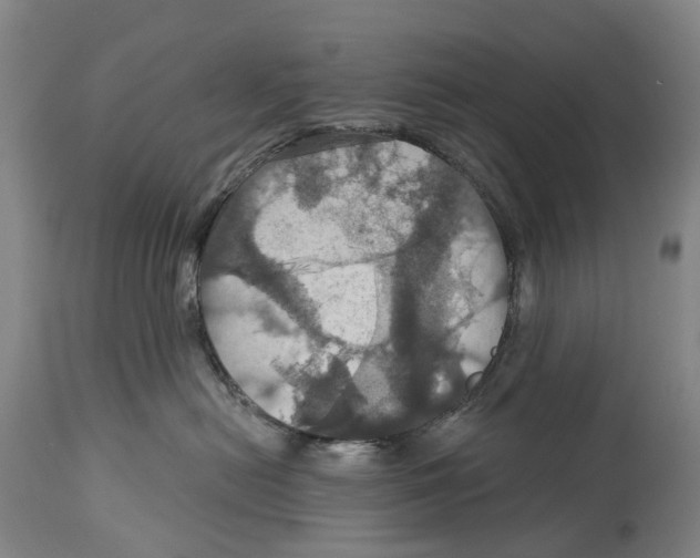 X0000114420478200911131455