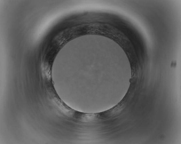 X0000114420479200911131455