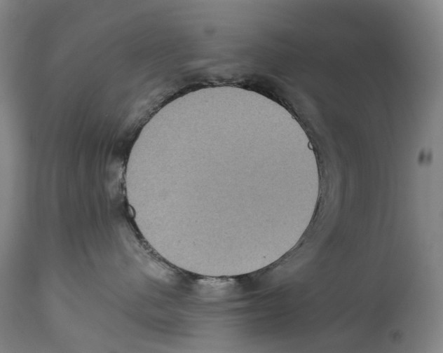 X0000114420480200911131455