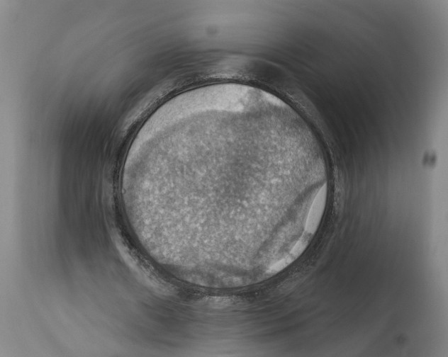 X0000114420482200911131454