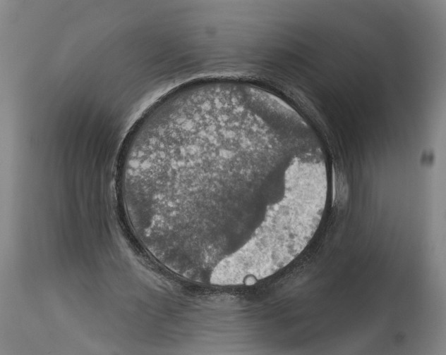 X0000114420483200911131454