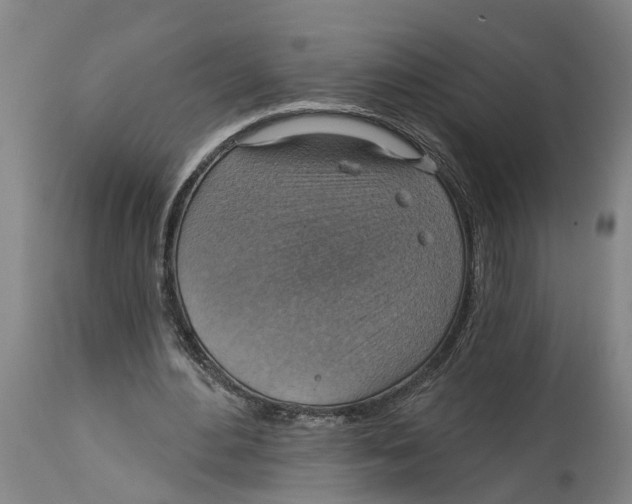 X0000114420484200911131454