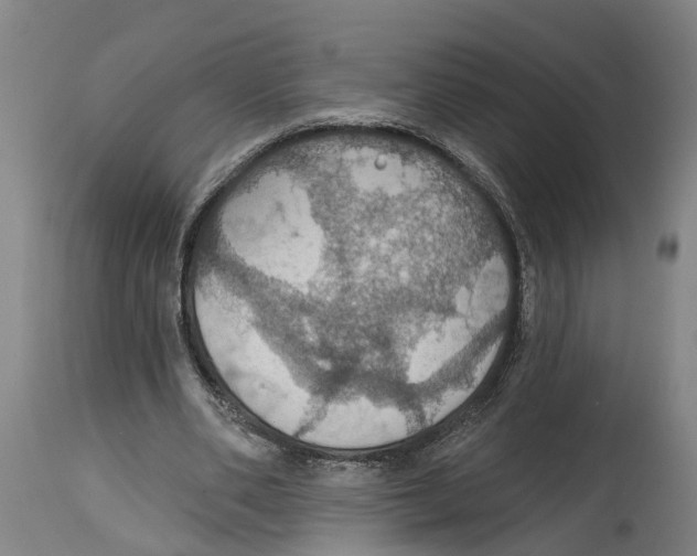 X0000114420486200911131454