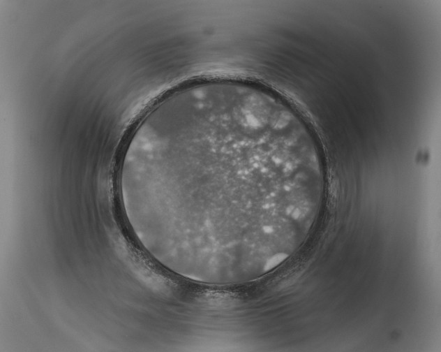 X0000114420487200911131454