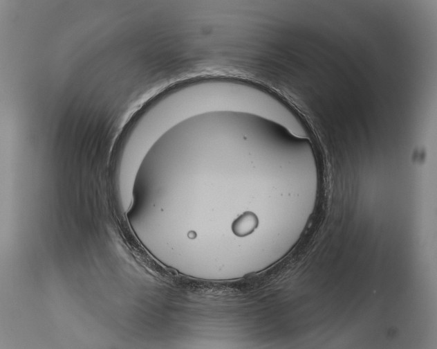 X0000114420488200911131454