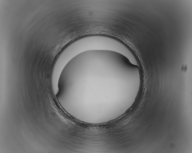 X0000114420489200911131454