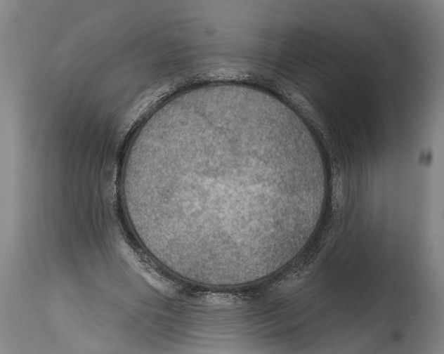 X0000114420490200911131454