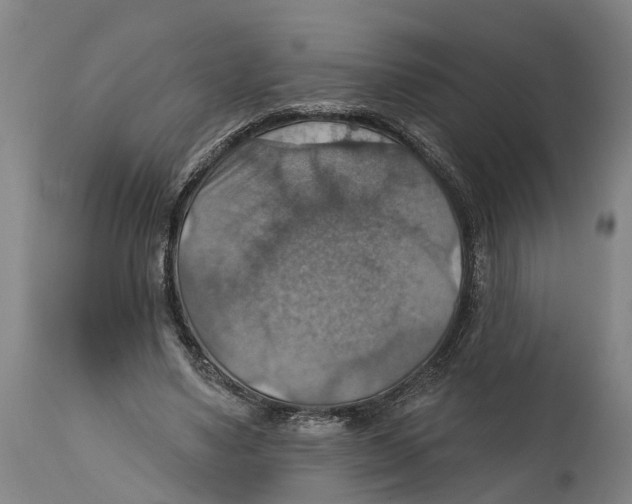 X0000114420491200911131454