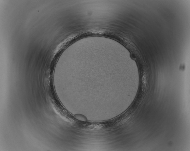 X0000114420492200911131454