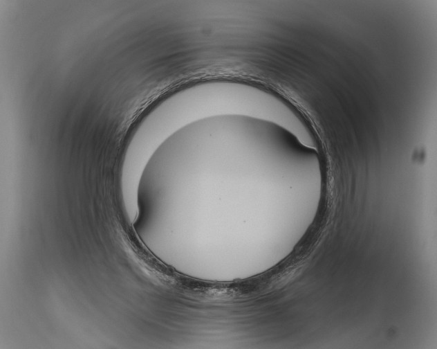 X0000114420493200911131454