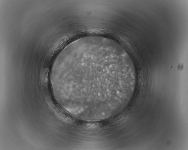 X0000114420495200911131454