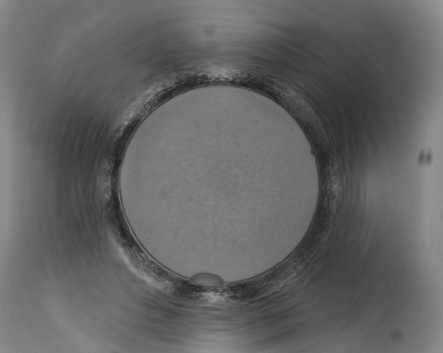 X0000114420496200911131454