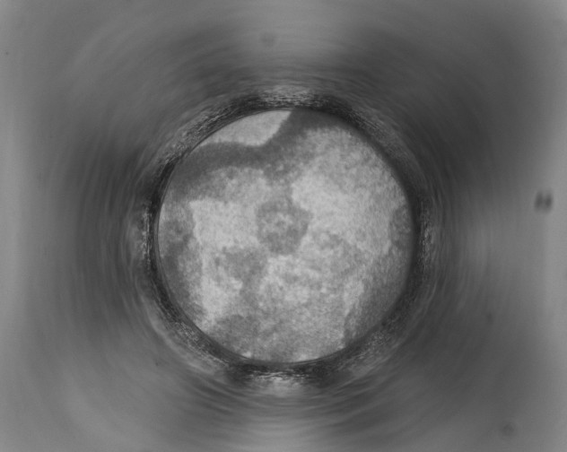 X0000114420498200911131454