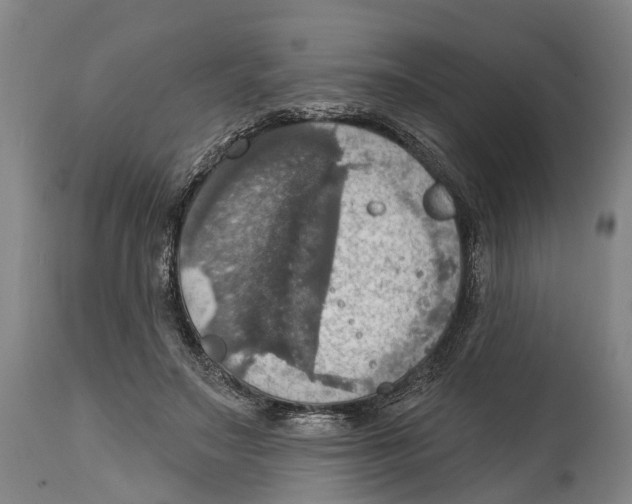 X0000114420499200911131454