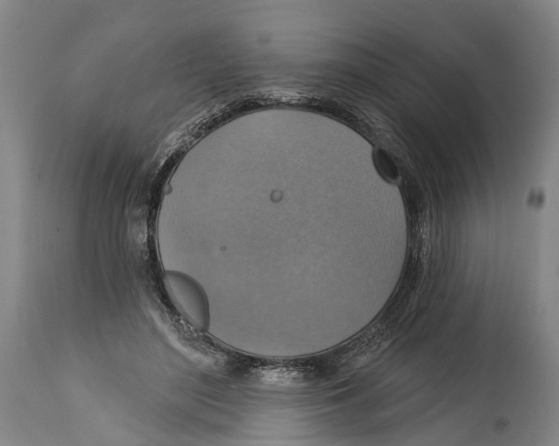 X0000114420500200911131454