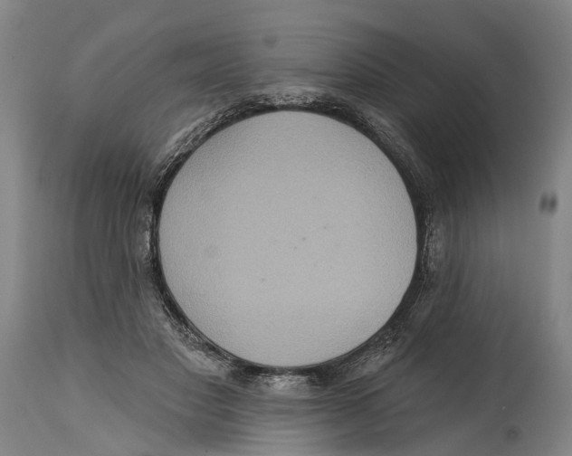 X0000114420501200911131454