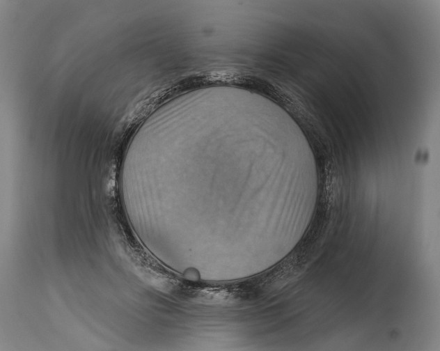 X0000114420502200911131454