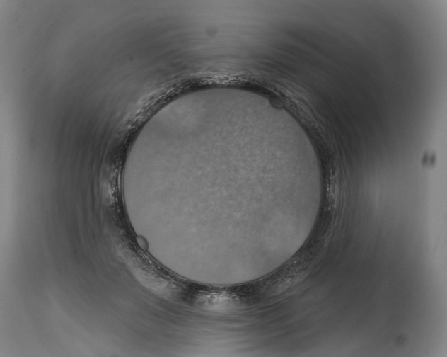 X0000114420503200911131454