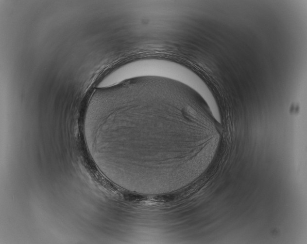 X0000114420504200911131454