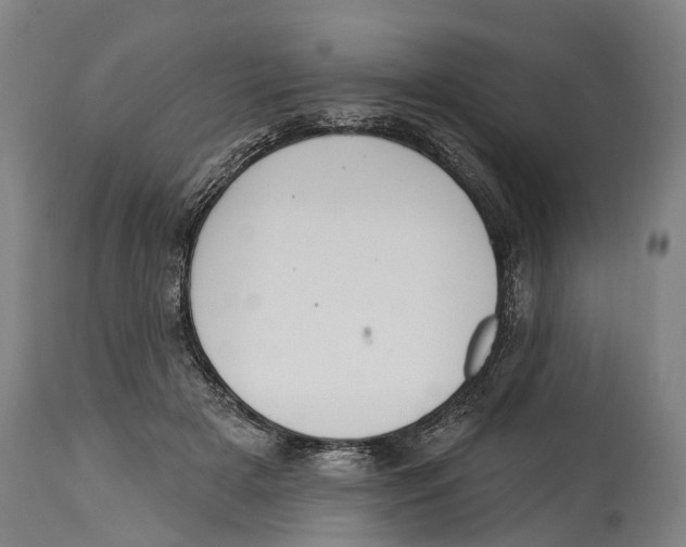 X0000114420505200911131454