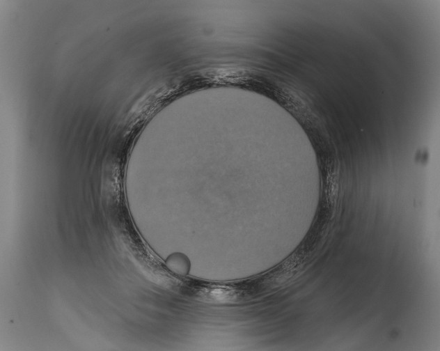 X0000114420506200911131454