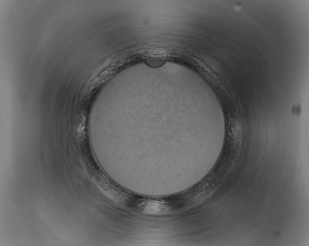 X0000114420507200911131454