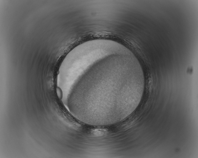 X0000114420508200911131454