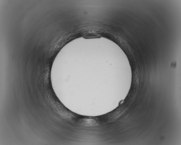 X0000114420509200911131454