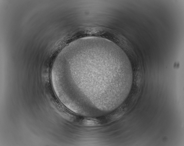 X0000114420510200911131454