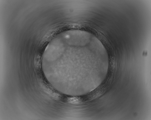 X0000114420511200911131454