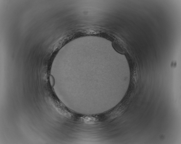 X0000114420512200911131454