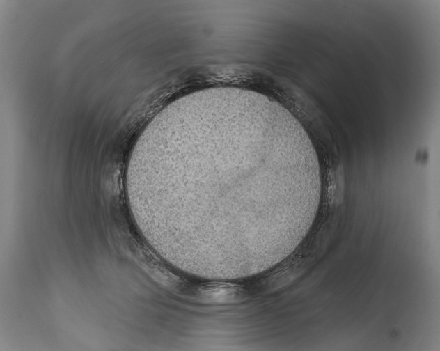 X0000114420514200911131454