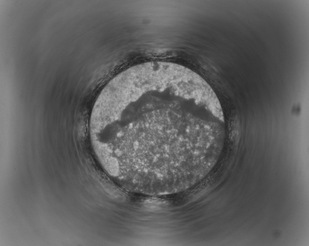 X0000114420515200911131454