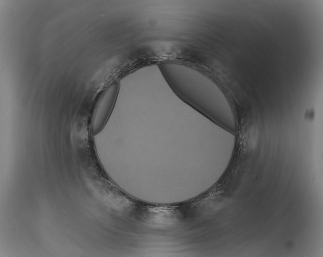 X0000114420516200911131454