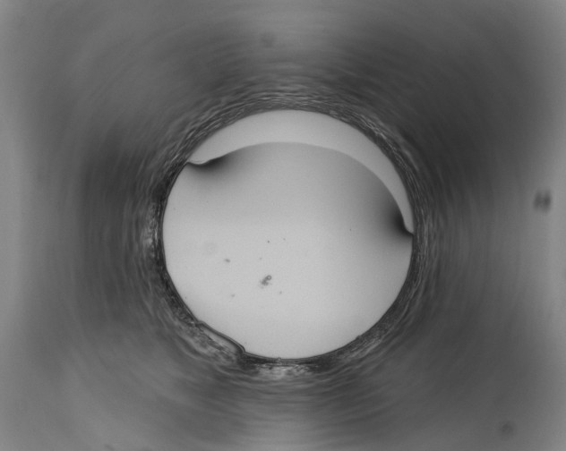 X0000114420517200911131453