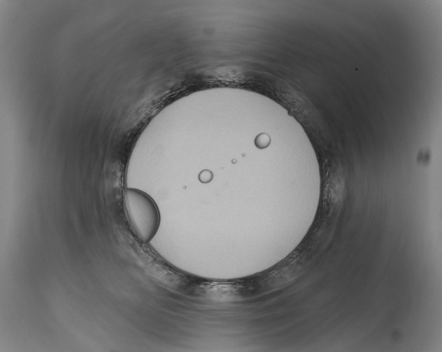 X0000114420518200911131453