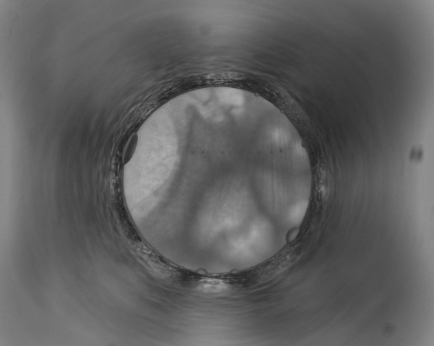 X0000114420519200911131453