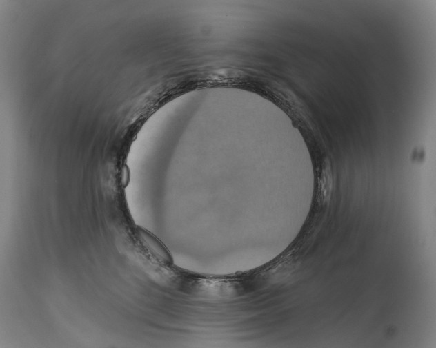 X0000114420520200911131453