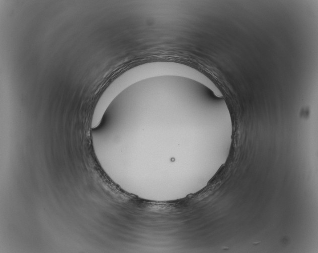 X0000114420521200911131453