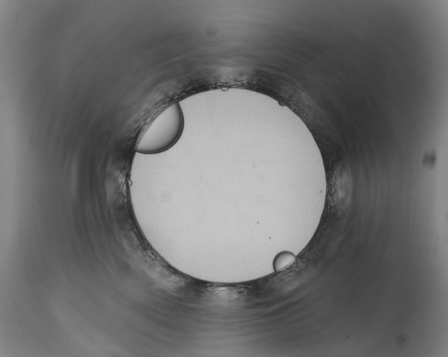 X0000114420522200911131453