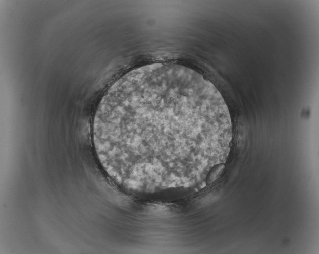 X0000114420523200911131453