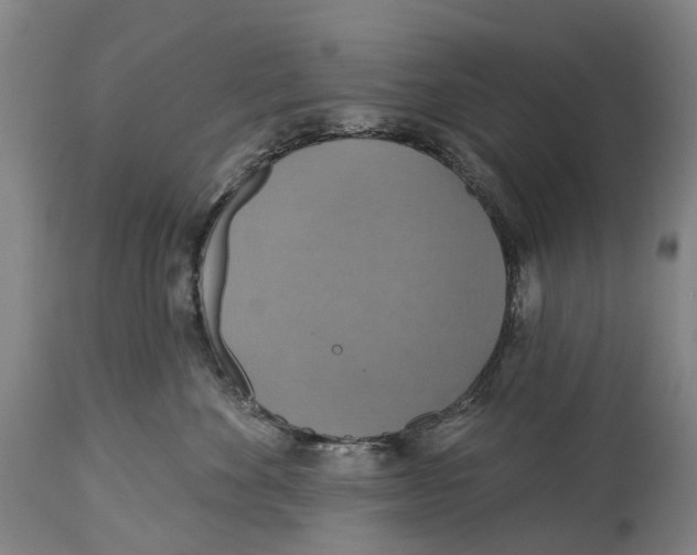 X0000114420524200911131453