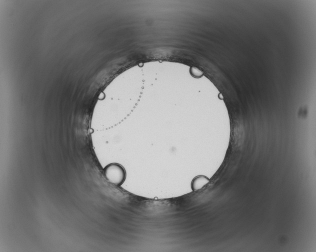 X0000114420525200911131453