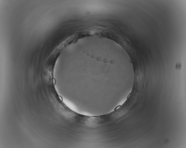 X0000114420527200911131453