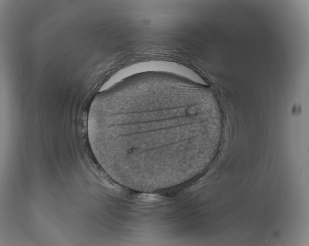 X0000114420528200911131453