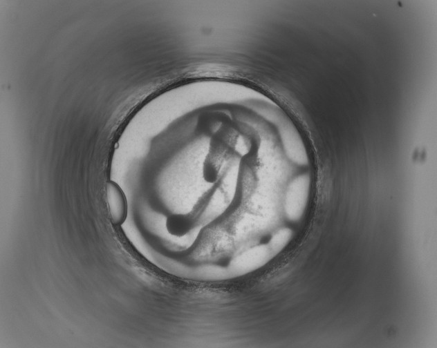 X0000114420529200911131453