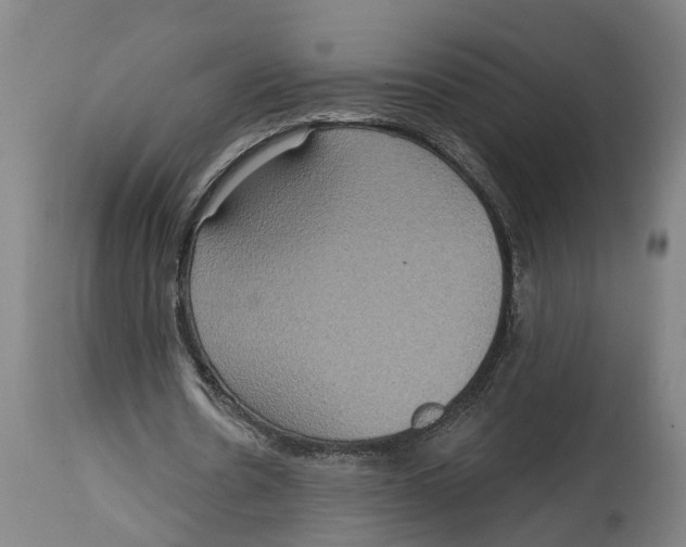 X0000114420530200911131453